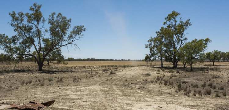 Arid Zone in Australia