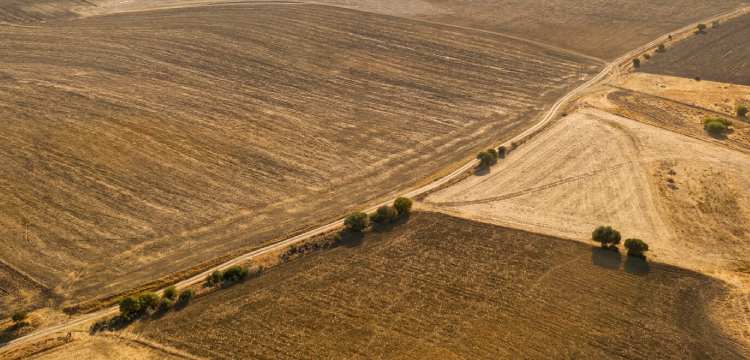 impact of agriculture on climate