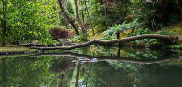 Subtropical Zone in Australia